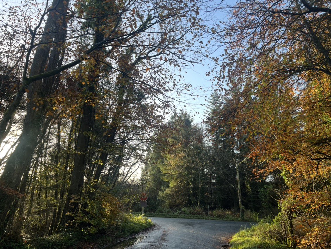 Bernadette Fallon tweet media