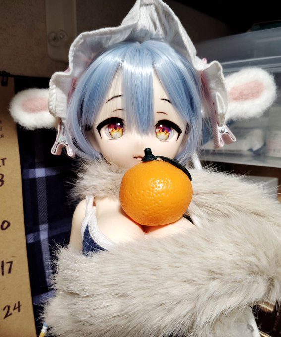 ドールリーシアで鏡餅🐄
よいお年を(といいつついつも通りツクツクしてる🐑 