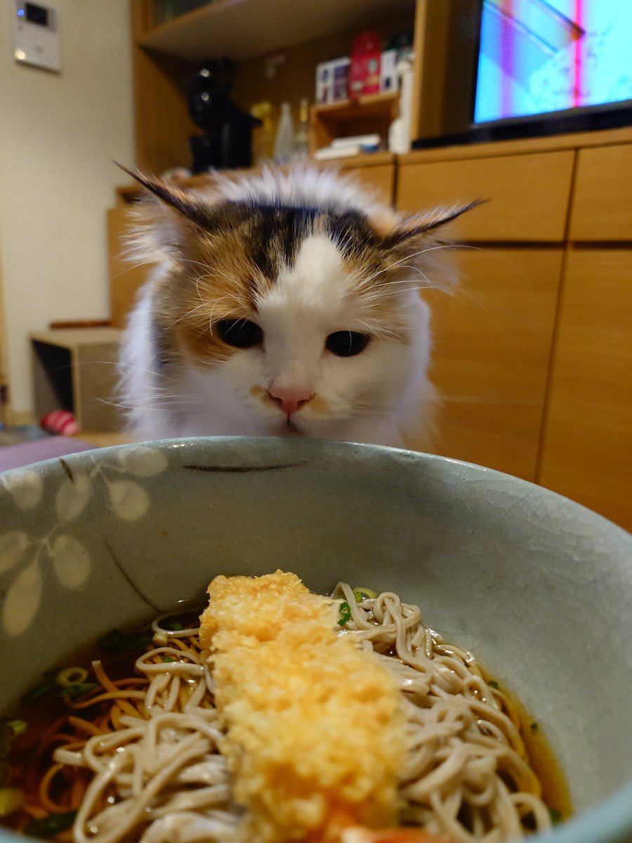 ﾀｶﾔｽ@赤札特売品 (@Kaki4u0) / Posts / X