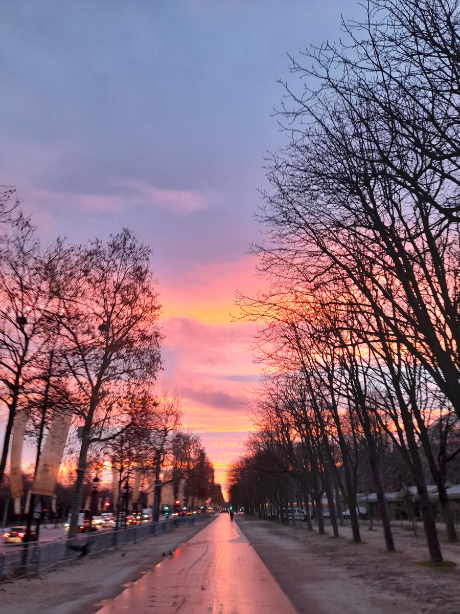 AsvazadourianJP's tweet photo. 2025 s'achève avec cette aube splendide sur les Champs-Elysées, un symbole d'espoir pour une année 2026 plus sereine, plus solidaire et plus paritaire 🚺🚹.

Último amanecer del año en los Campos Elíseos, lleno de esperanza por un año 2026 con más solidaridad 🤝 y igualdad  🚺🚹. https://t.co/3vOGUXkPxT