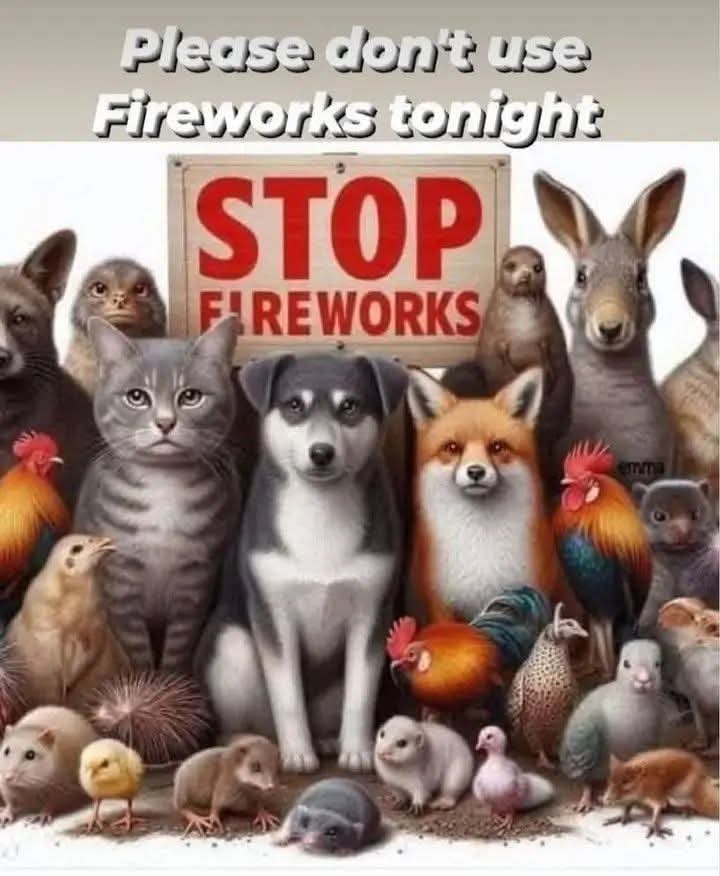 Dervilla(v) (@derviemoo) on Twitter photo 