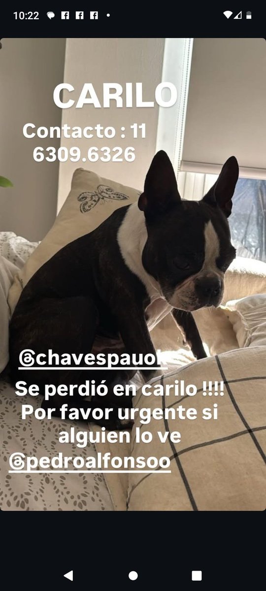 ailensofii23's tweet image. @baronjimena @CHANOTB @florjazminpe16 @jpdevi RT porfavor