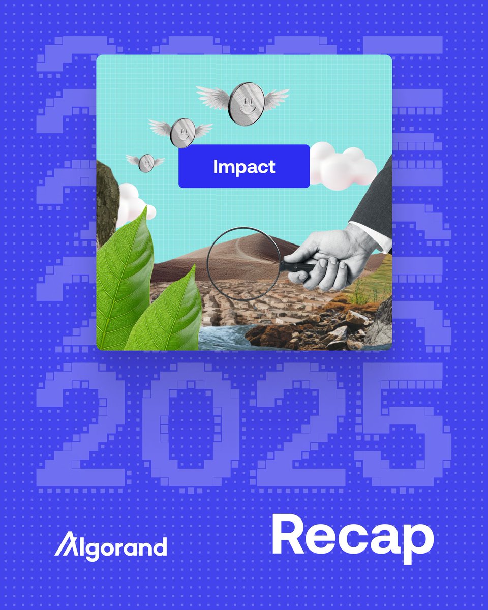 🐍 algoprint.algo 🐍 (@AcmeCondor) / Posts / X