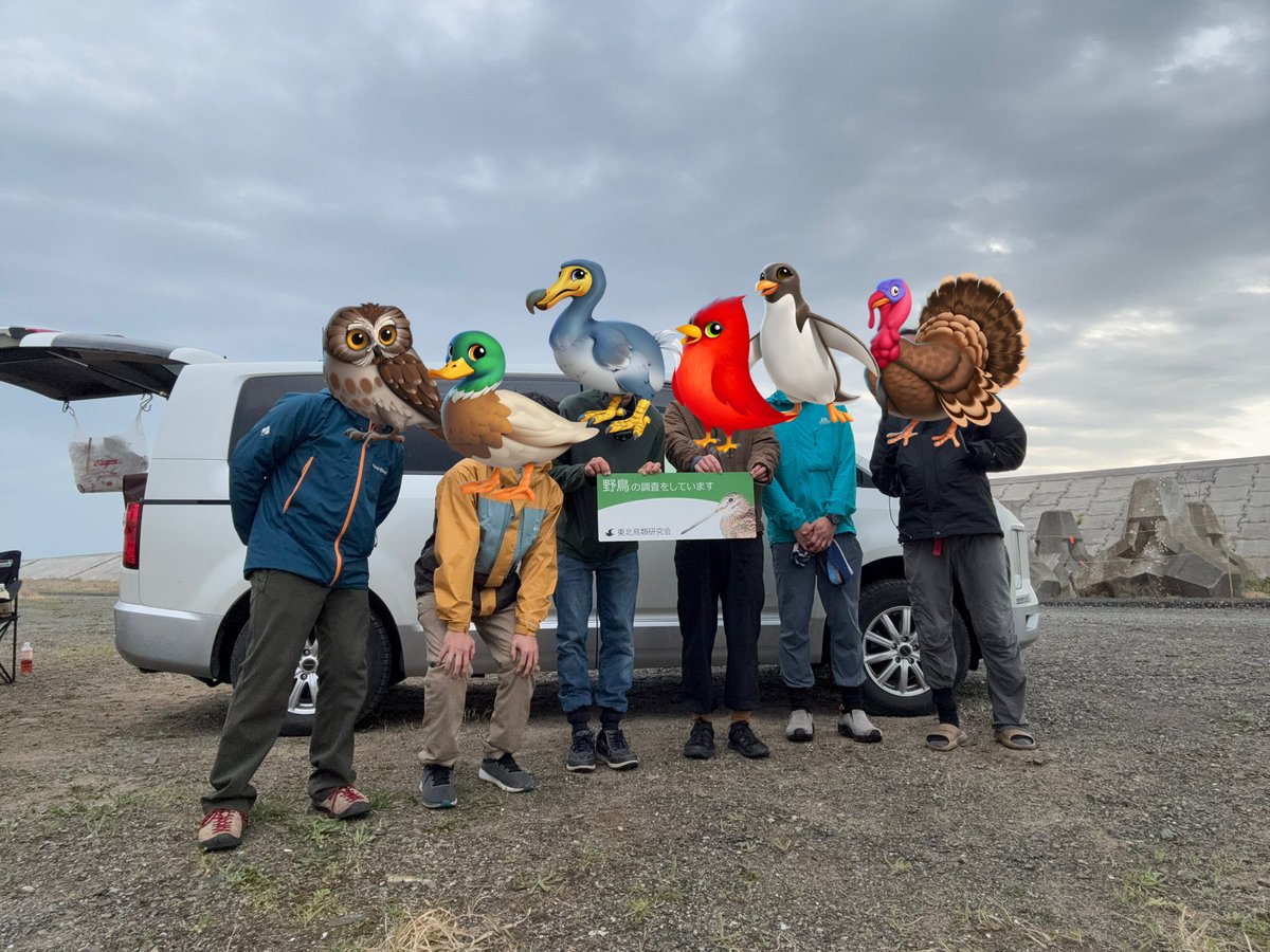 Jun Hosoya tweet media