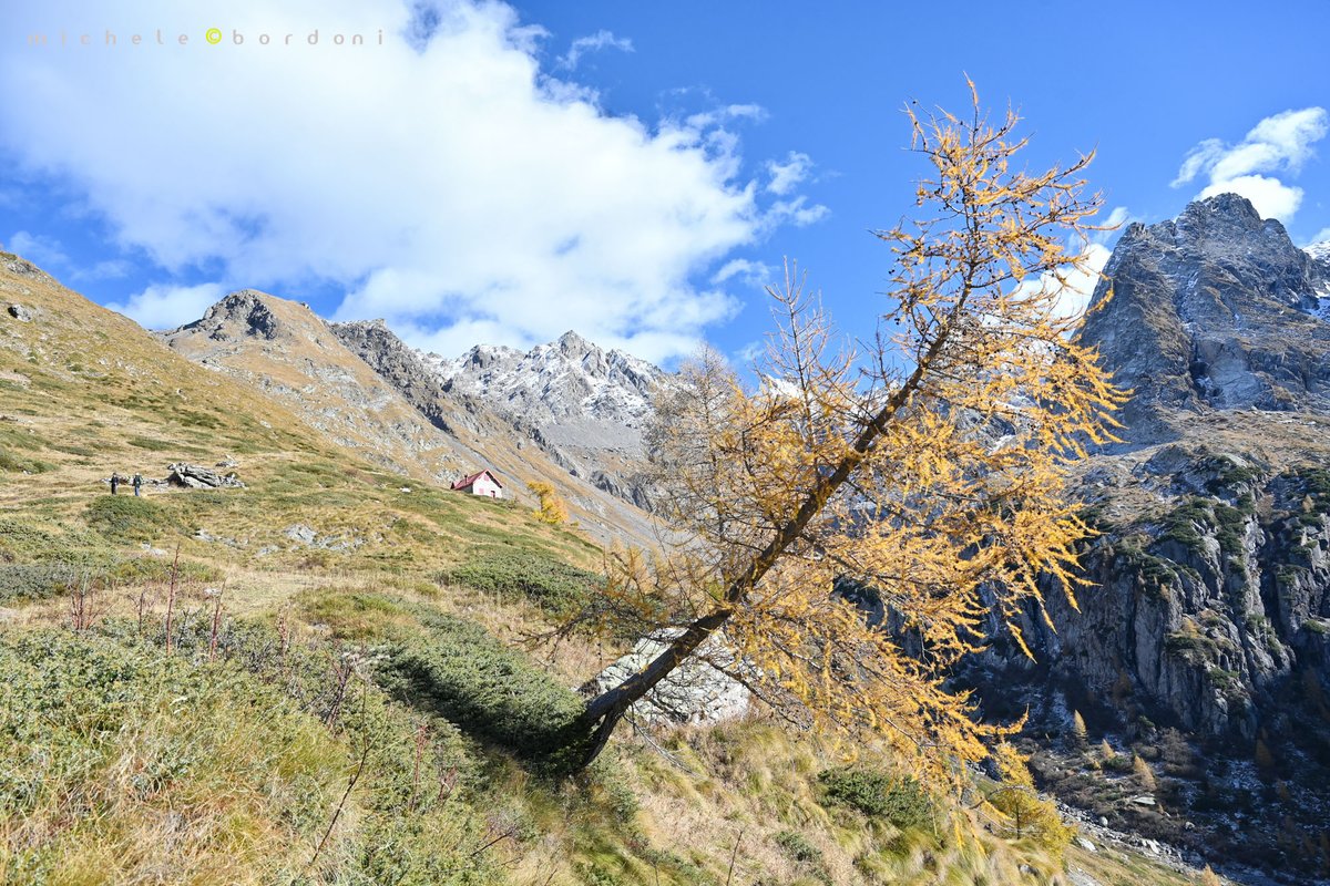 michele bordoni photography tweet media