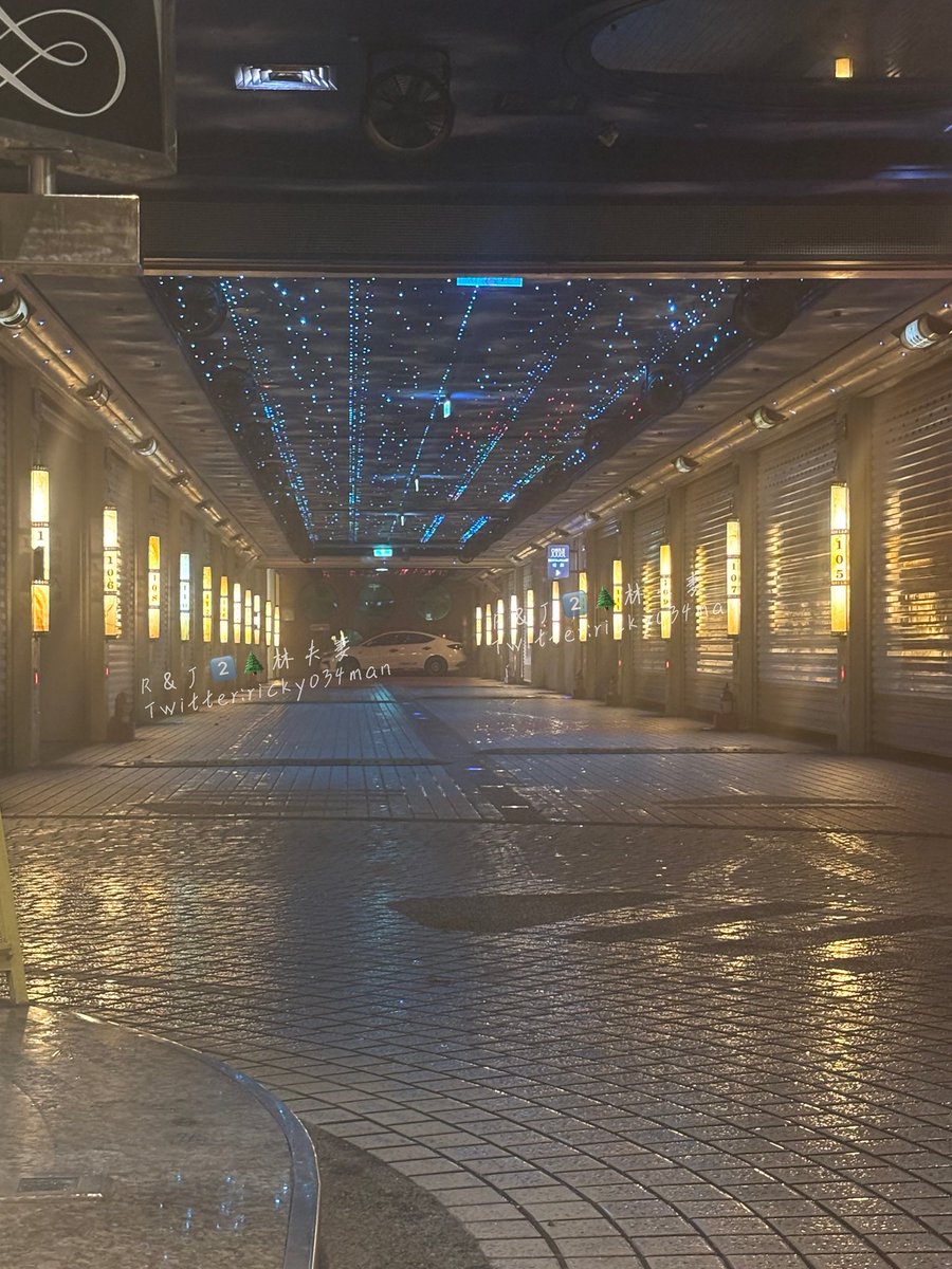 #另一對2⃣️木林夫妻 

等待⌛️是為了更美好的夜晚❤️
2025最後一天 細雨綿綿🌨️冷冷的夜
感謝朋友們有一年的陪伴❤️
今天錯過的、失去的 希望我們明年再見❤️

#桃園夫妻