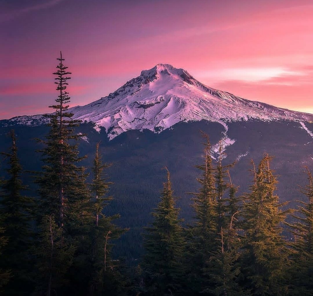 Buenos dias gente, quiero desearles un hermoso dia, que pasen bella noche junto a familiares, amigos, quienes aman y tengan un buen comienzo de año. Feliz 2026