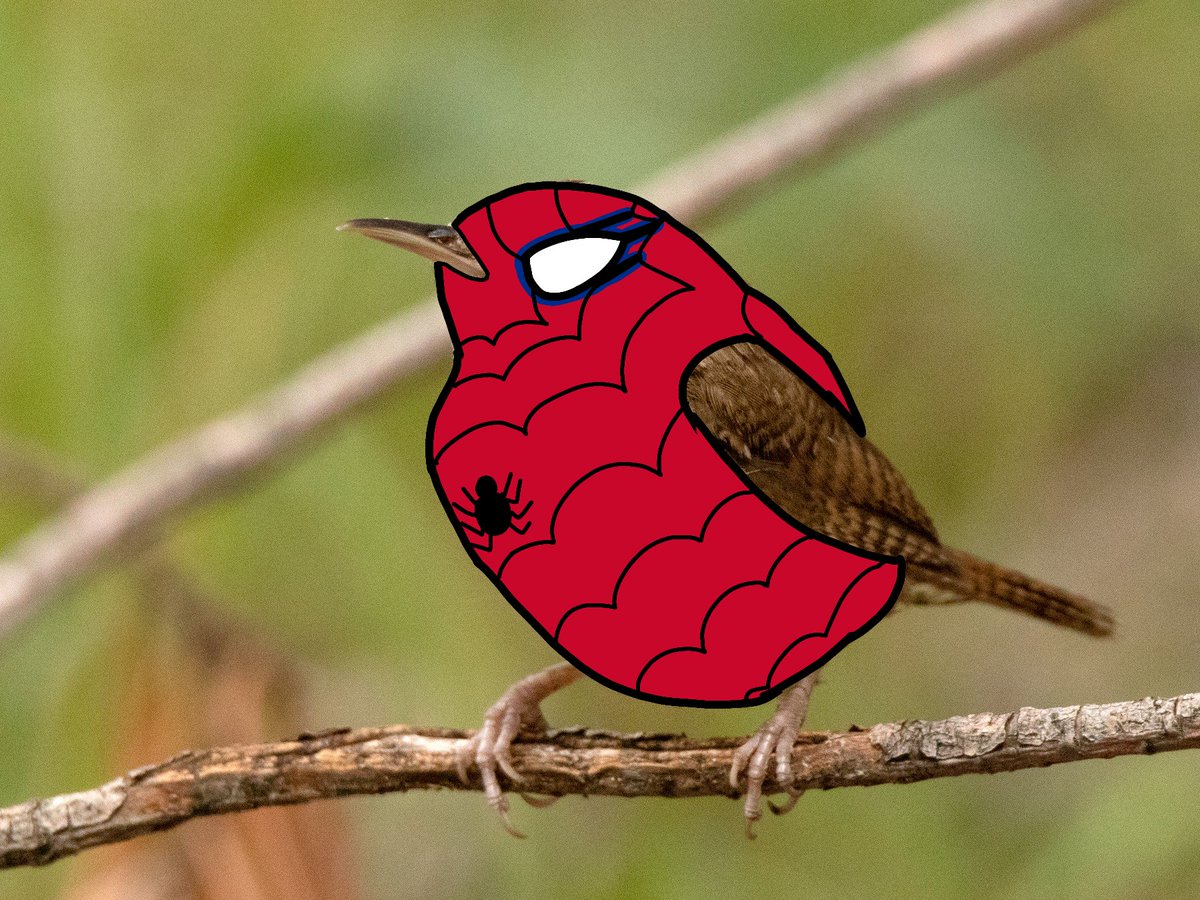 FunkyChunkyOctopus222 tweet media