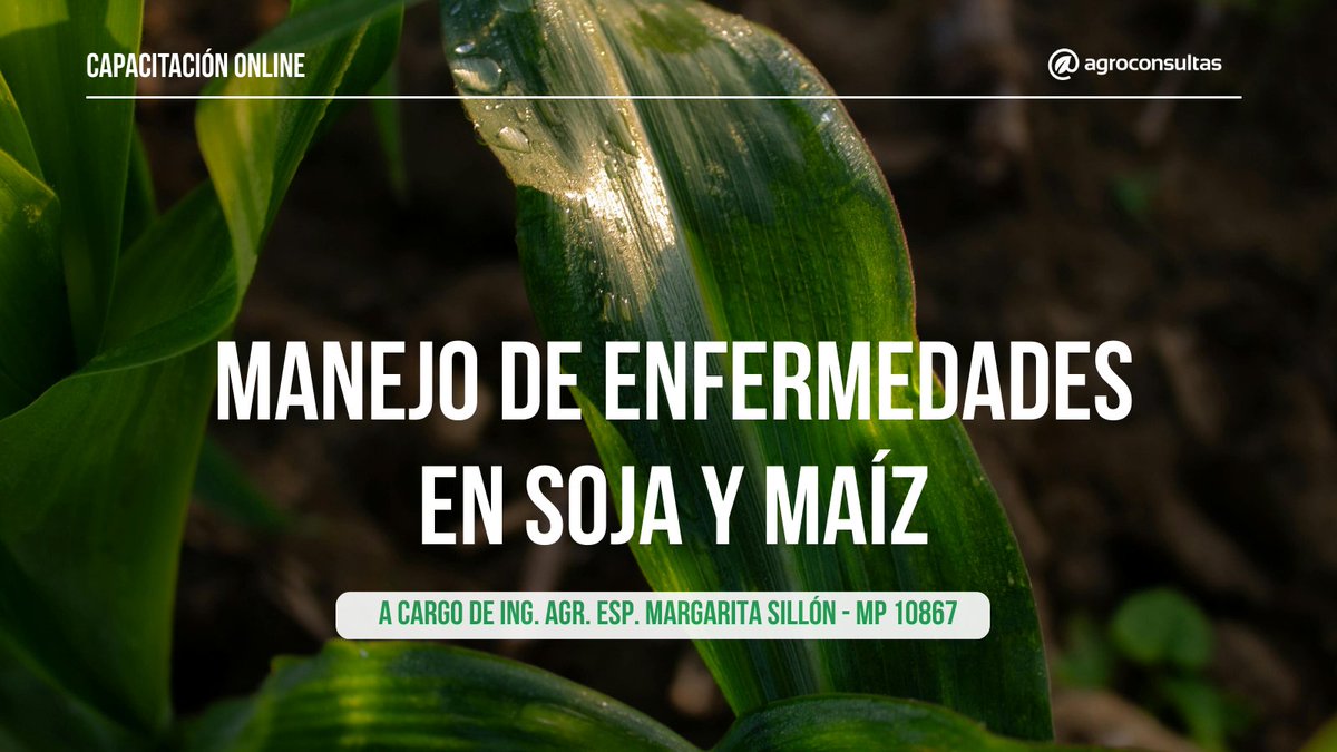 Información práctica y actualizada para tomar mejores decisiones 🌾🚀

🙋‍♂️ Ing. Agr. Esp. Margarita Sillón
🌱 Esta capacitación tiene el objetivo de brindar a técnicos, productores y estudiantes herramientas actualizadas para la identificación y manejo

👉🏻 agroconsultas.online/B28Edf