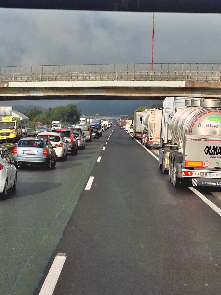 Reševalni Pas tweet media