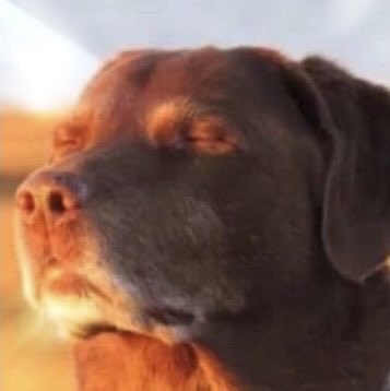 IceKnight's tweet image. I think my new response to everything is just going to be this image