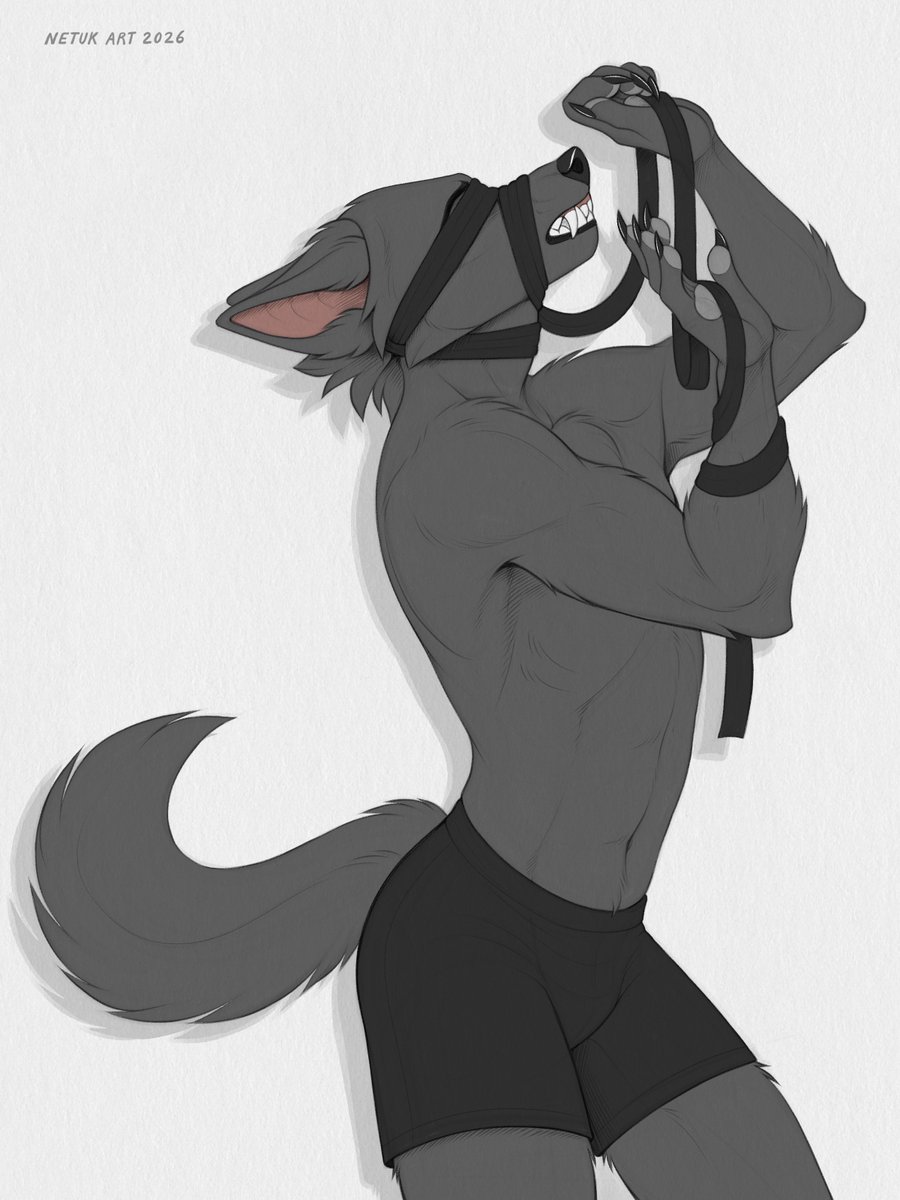 Netu 🦊 tweet media