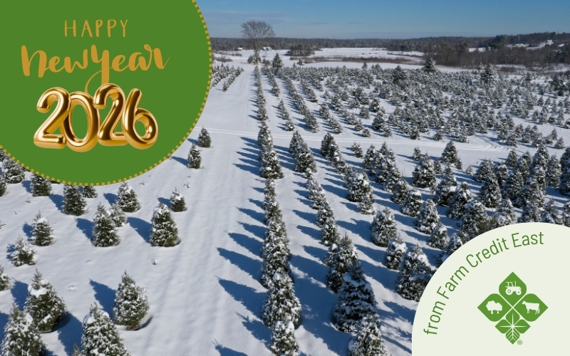 From those of us at Farm Credit East, we wish you happiness and prosperity in the coming new year! 

As a reminder, Farm Credit East offices will be closed tomorrow, January 1.