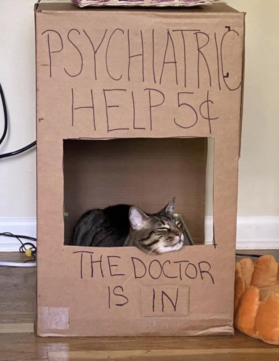 catshealdeprsn's tweet image. 