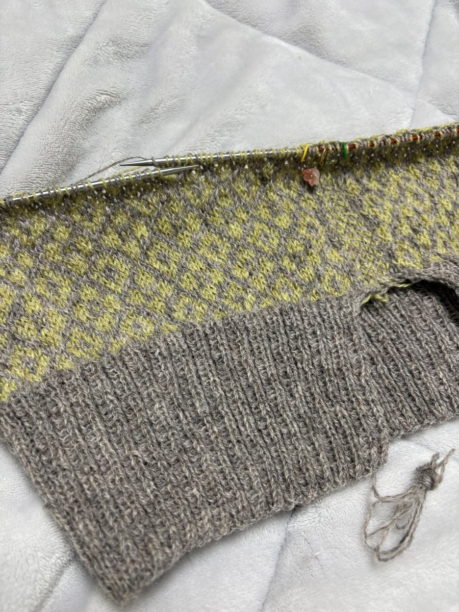 ํค์ด๐ฅ tweet media