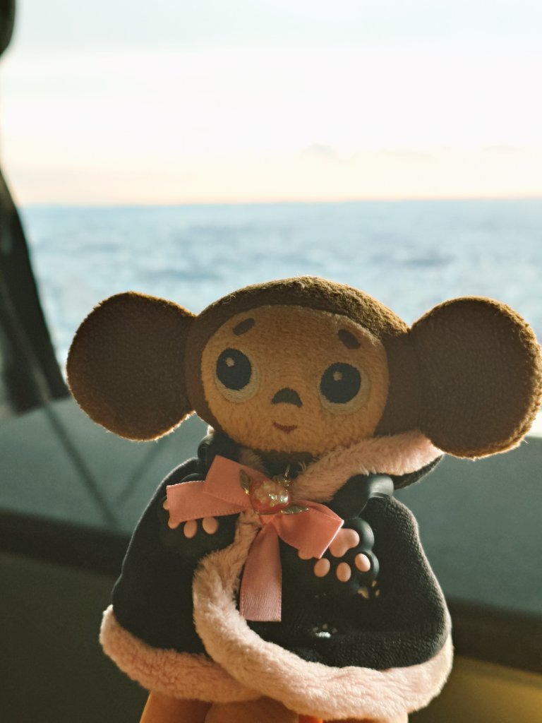 たかくん (@takakuntakakun) / Posts / X