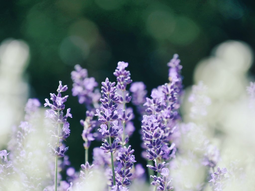 espr___'s tweet image. 2025年のお気に入り