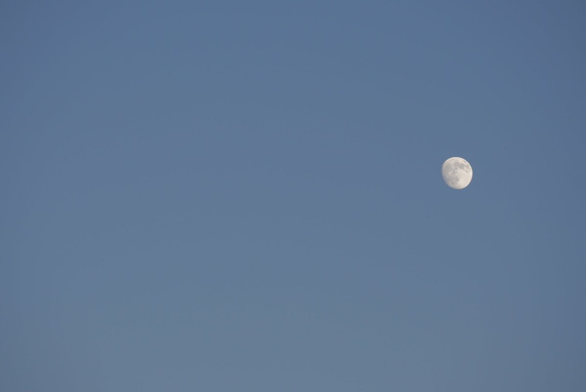 espr___'s tweet image. 2025年のお気に入り