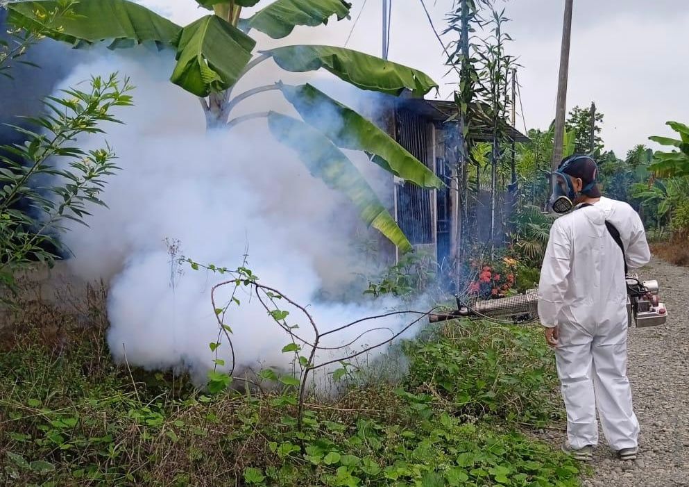 ACCIONES PREVENTIVAS PARA EL CONTROL DE VECTORES 

La Alcaldía Ciudadana de Buena Fe, a través de la Unidad de Gestión Ambiental, ejecutó jornadas de fumigación intradomiciliaria y extradomiciliaria y eliminación de criaderos de larvas, con el objetivo de prevenir enfermedades.