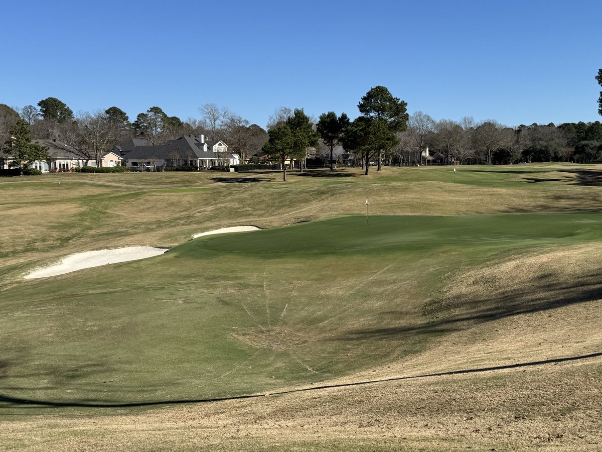 Gulf Coast Drainage Solutions tweet media