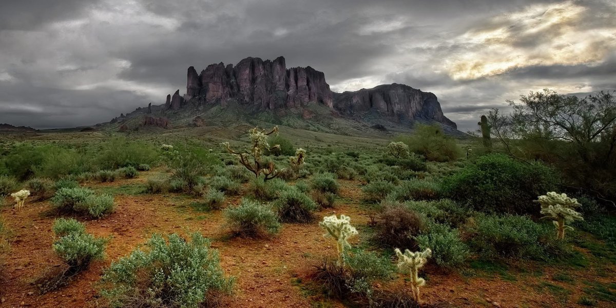 Earl Ward tweet media