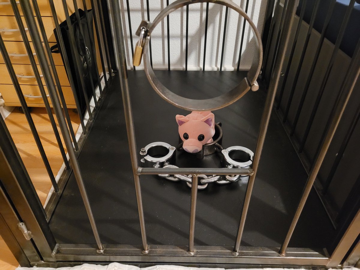 AlphaMasterGermany 🇩🇪🇬🇧 11K tweet media