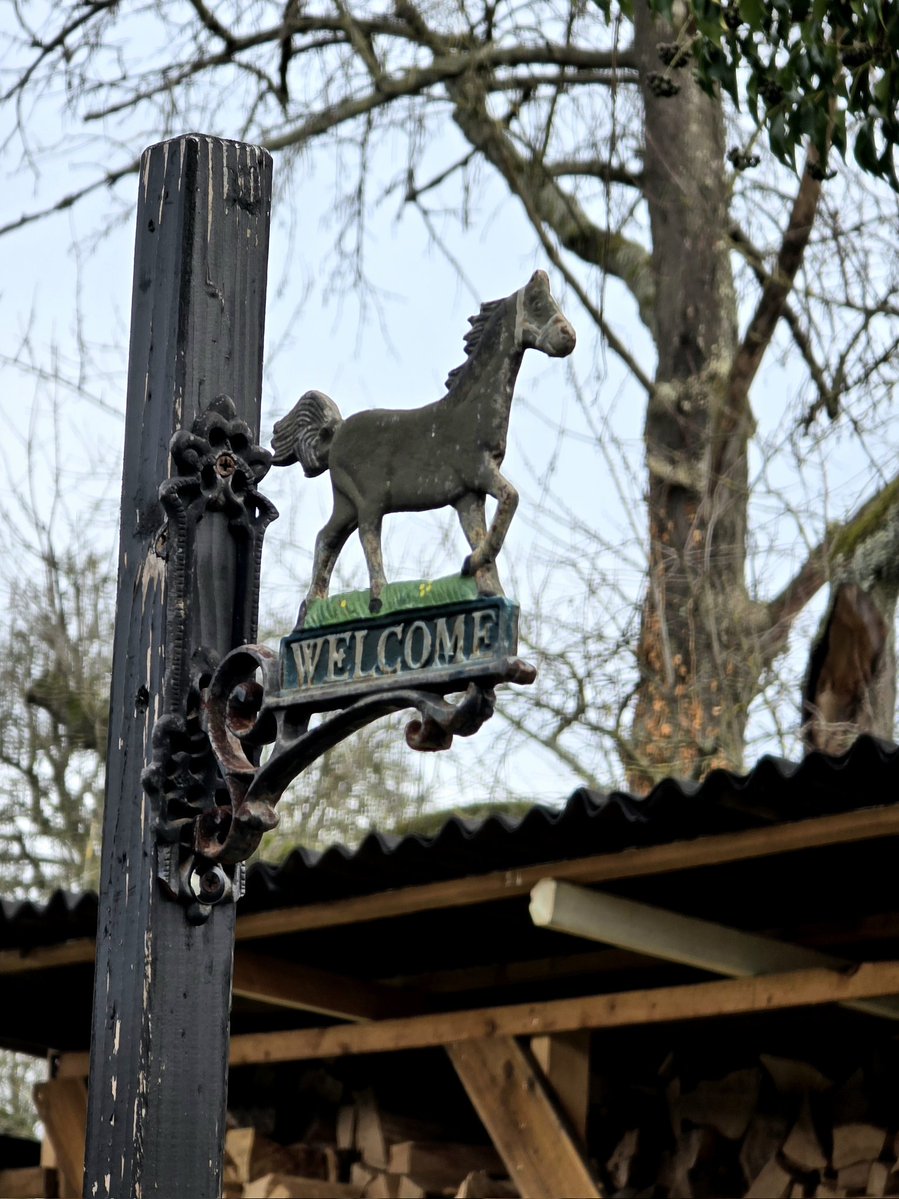 Vassi__'s tweet image. Идёшь такой из магазина, волочёшь сумку, тяжёлую, потому что там, помимо покупок последней минуты, ещё и двухлитровая банка маринованных огурцов. (жизнь удалась)
 И тут вдруг - "добро пожаловать". 
И ты себе говоришь стоп, остановись...
Хочется считать это знаком :)
Хотя…