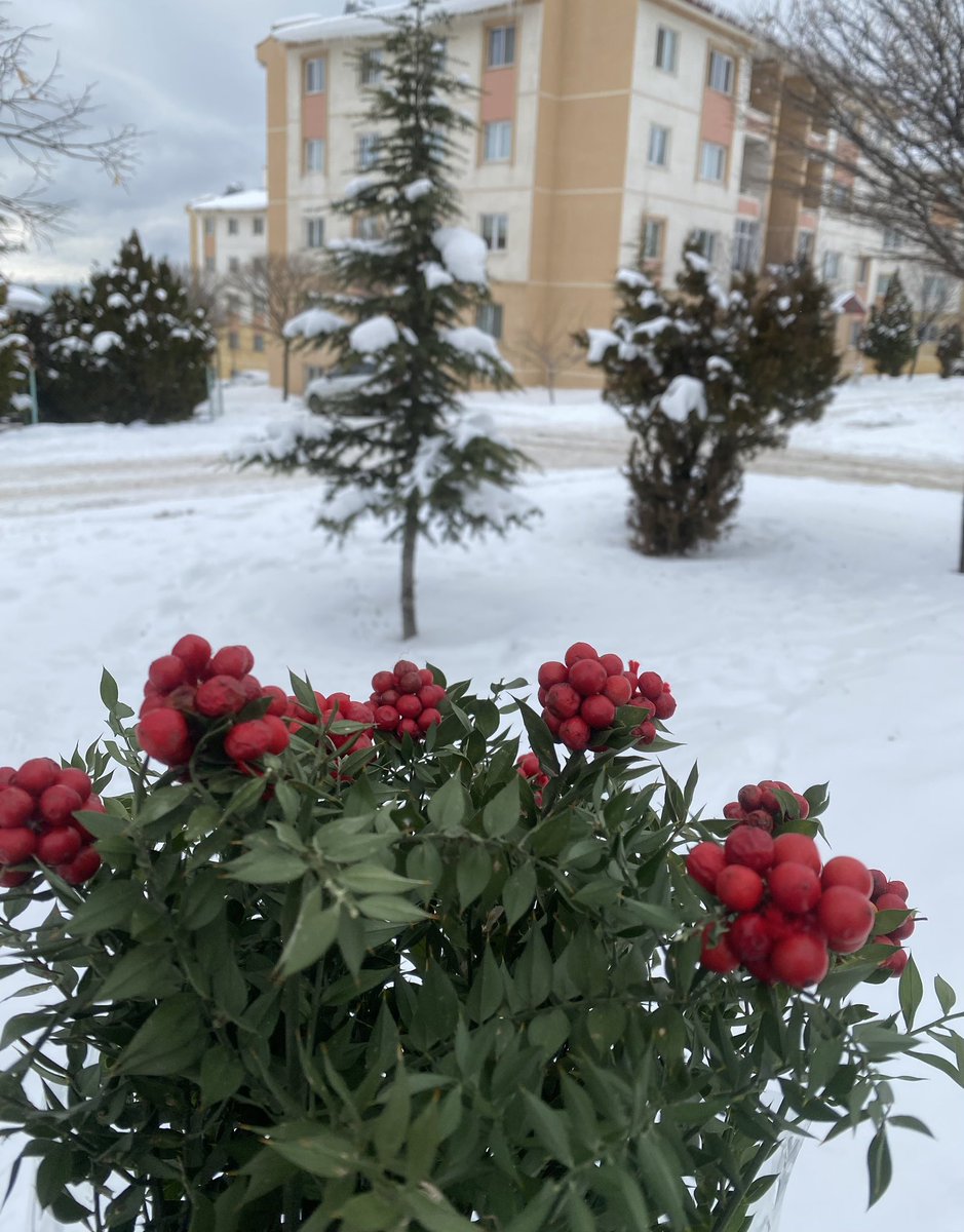 2025’in son yarısı hiç fena değildin 🎉👋🏻