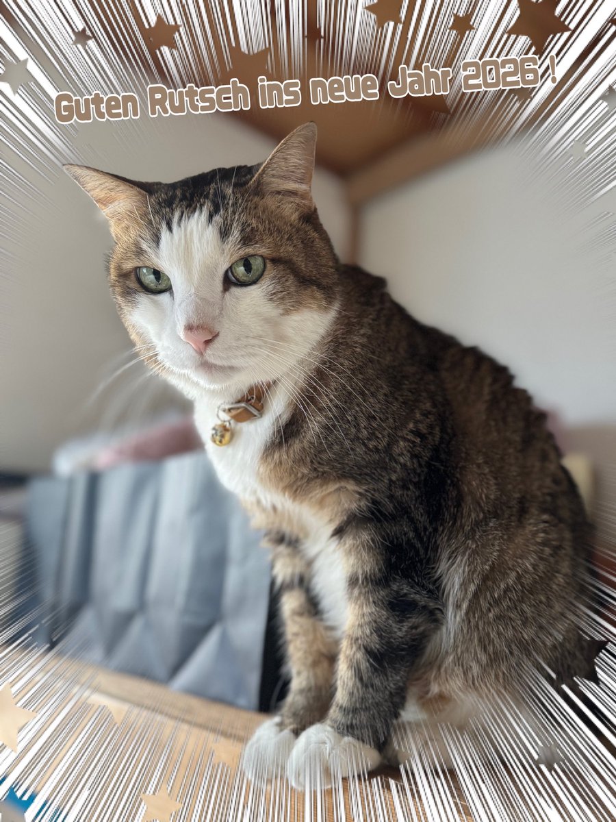 吉岡次郎 tweet media