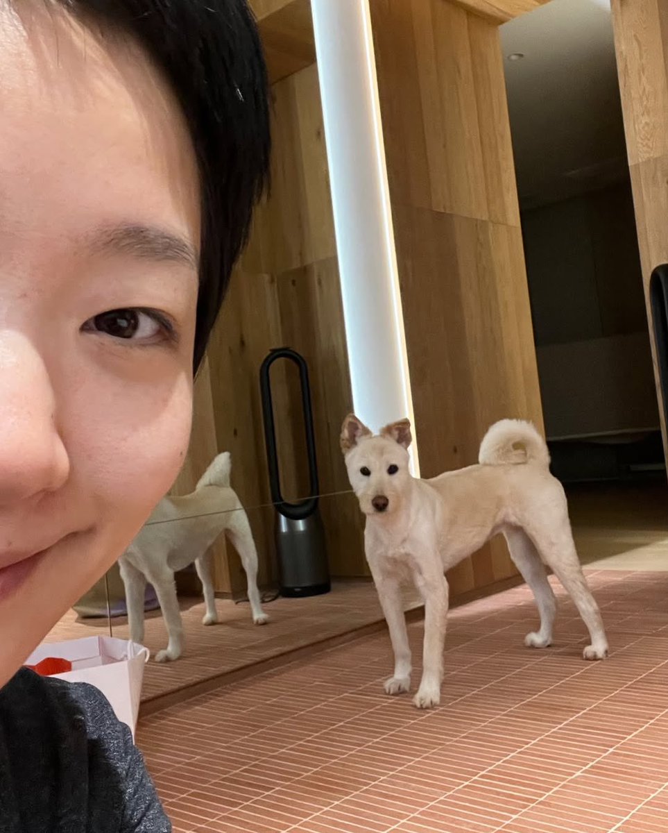 고은이 덕분에 25년도 행복햇어
내년에두 행복만하쟈
