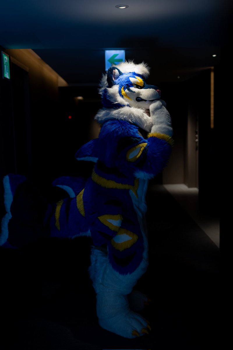 2025年ももう終わるので引用RTで私の印象や思い出などを語ってください