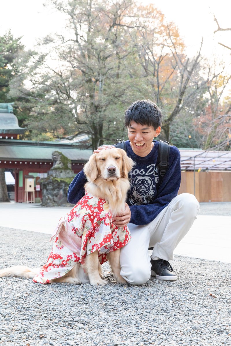 Daichi Abe tweet media