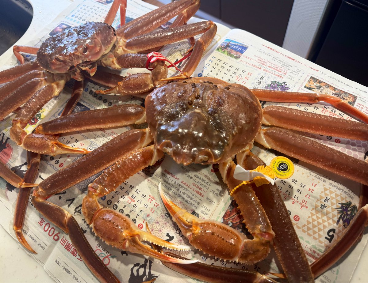 じーにょ tweet media