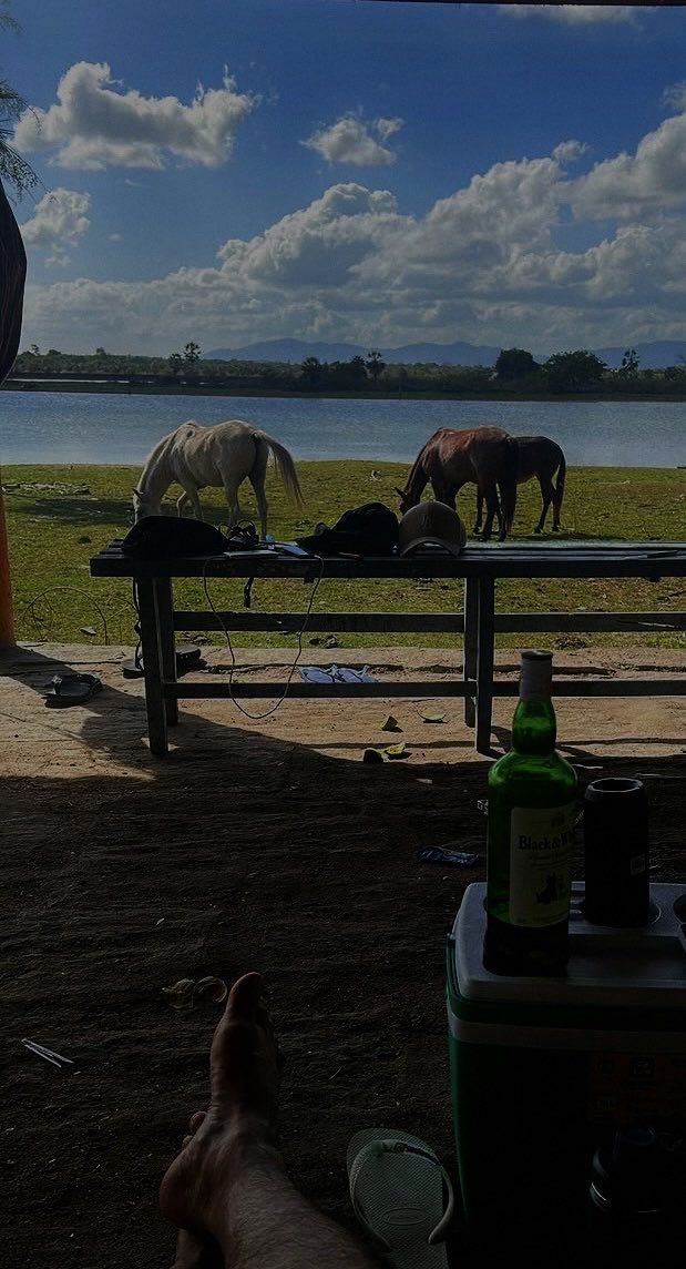 fkfdp's tweet image. Última do ano