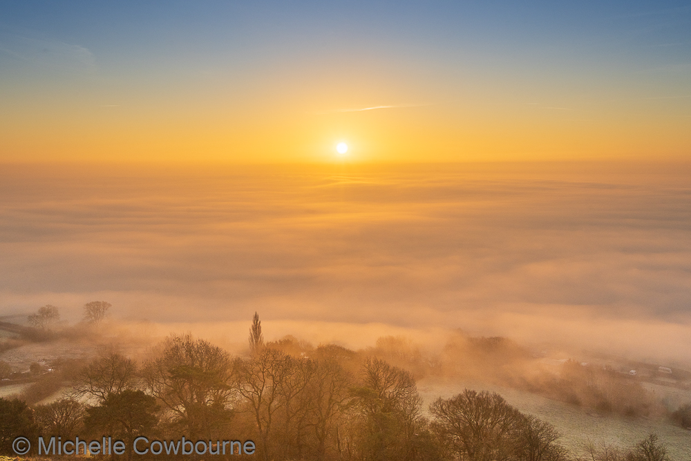 Michelle Cowbourne tweet media