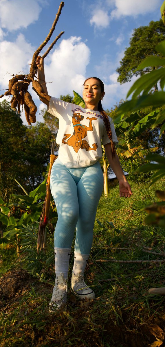 ¿Cómo le llaman a este alimento en otros lugares?