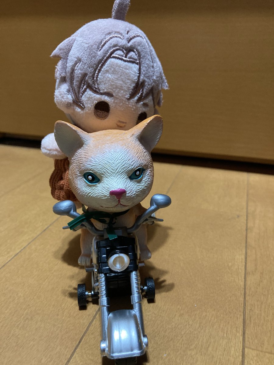 バイクに乗ってくるくる回るぬいさんの動画よくお見かけするじゃない