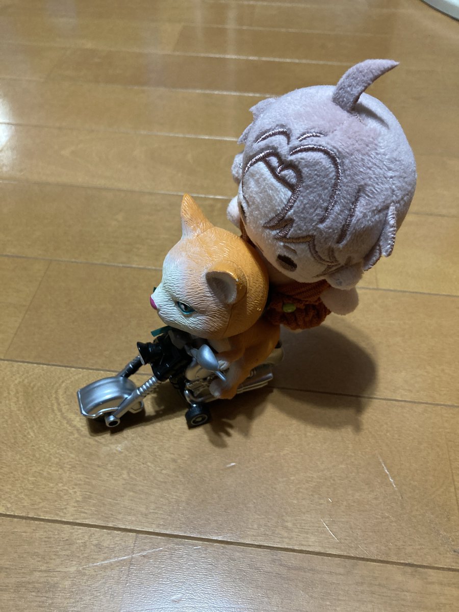 バイクに乗ってくるくる回るぬいさんの動画よくお見かけするじゃない