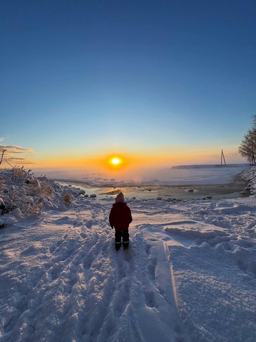 Tim Sparv tweet media