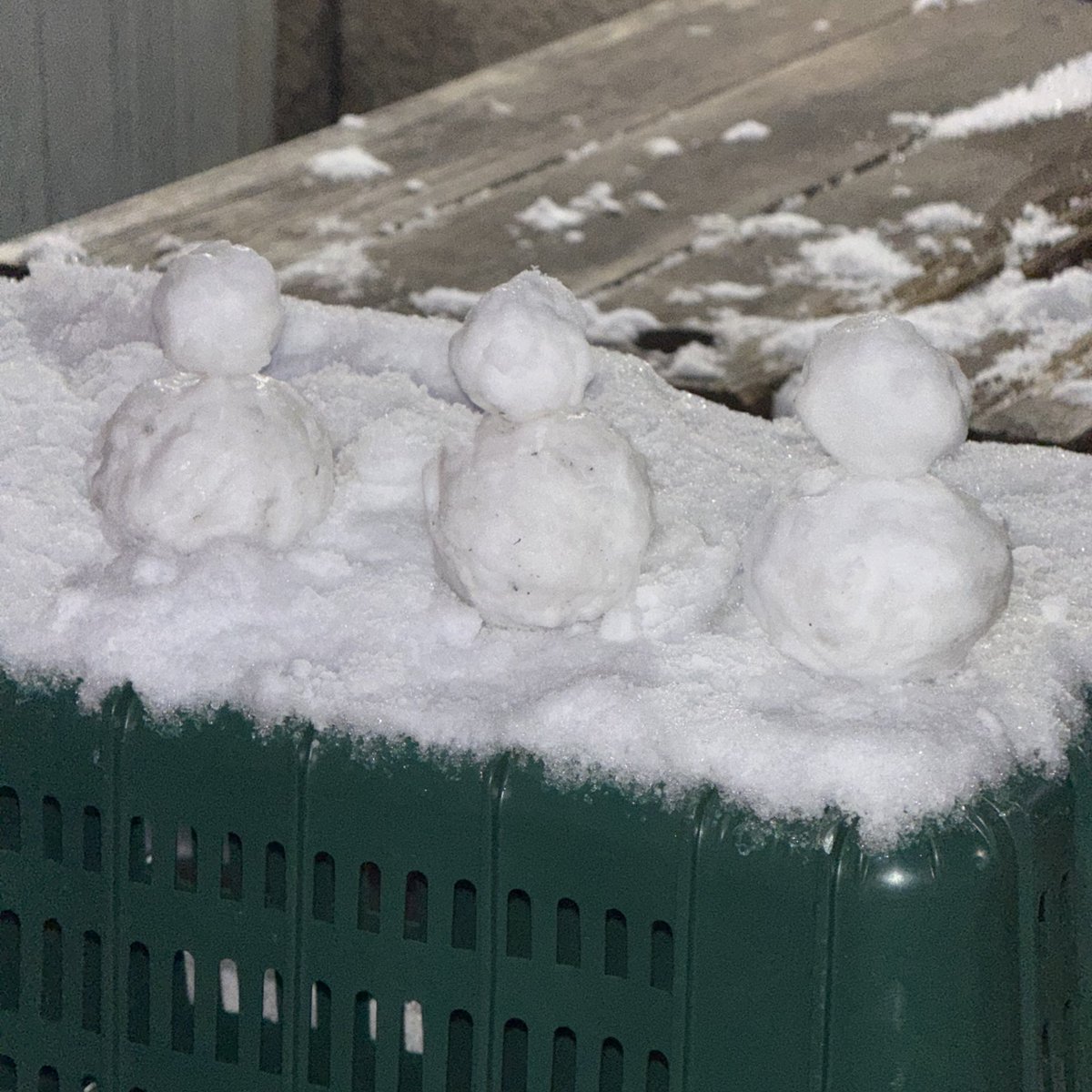 oconih's tweet image. 