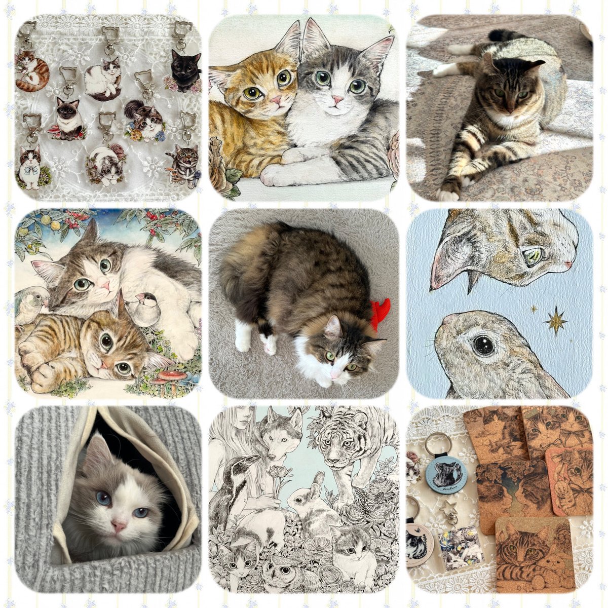 maoo (@mameneko_09) / Posts / X