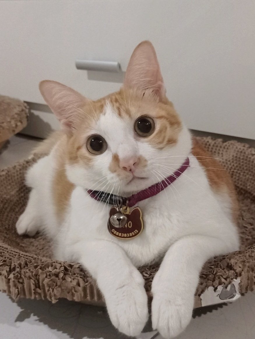 Daijoubu, we have Allah