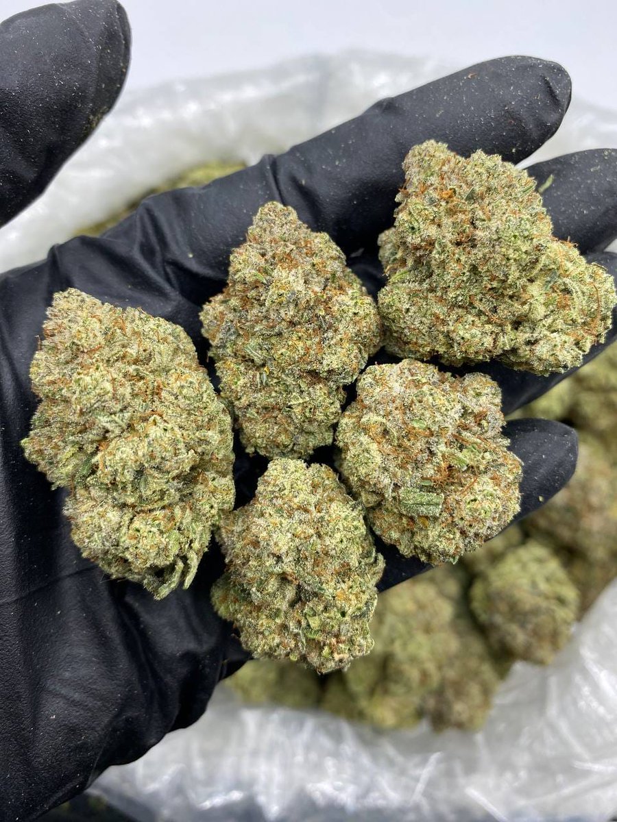 smackinplug's tweet image. TAPIN 📥
Weed Berlin Weed Mitte Weed Kreuzberg Weed Prenzlauer Berg Weed Charlottenburg Weed Potsdam Weed Babelsberg Weed Wannsee Weed Hamburg Weed Altona Weed St. Pauli Weed Harburg Weed Wandsbek Weed Bergedorf Weed Eimsbüttel Weed Munich Weed Altstadt Weed Schwabing Weed Pasing