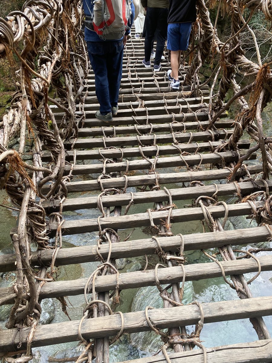 博士課程みたいな橋に連れてかれました。