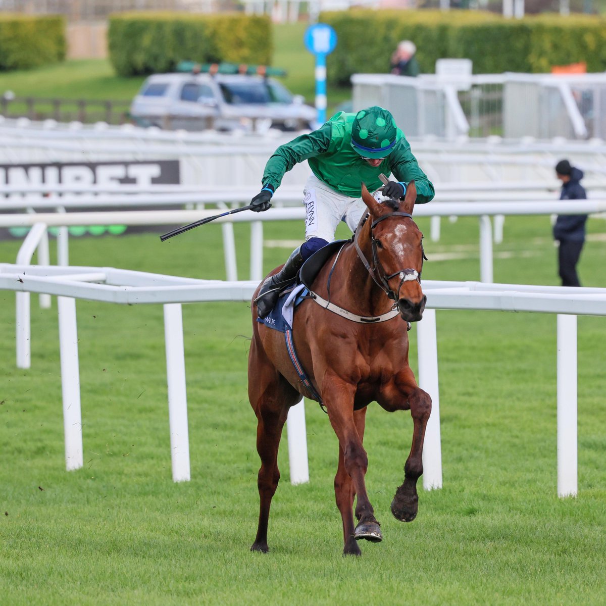 RacingPost's tweet image. EL FABIOLO is back to winning ways at Punchestown 😍💚