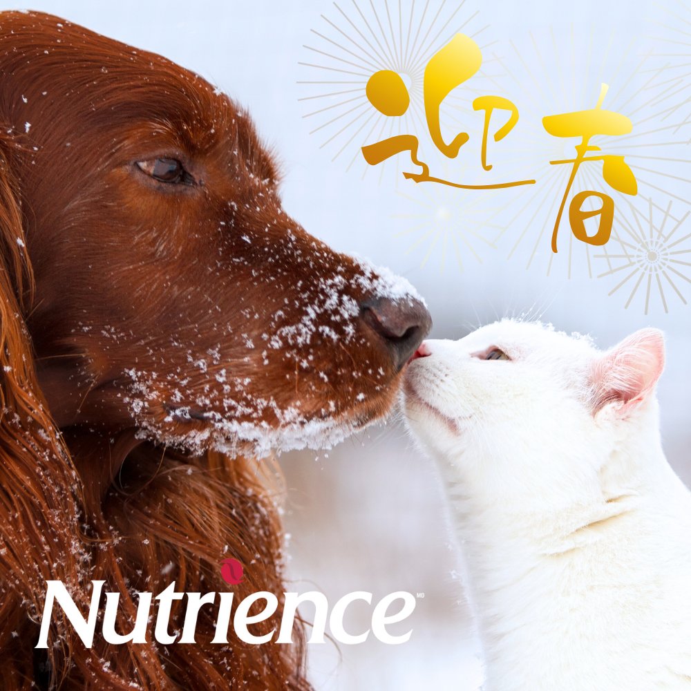 nutrience_jp's tweet photo. あけましておめでとうございます🎍 

昨年はニュートリエンスをご愛顧いただき
誠にありがとうございました。 
本年もわんちゃん・ねこちゃんが健康に
過ごすお手伝いをしてまいります。 

本年もどうぞよろしくお願いいたします🌿 https://t.co/zsUqyBBE0W