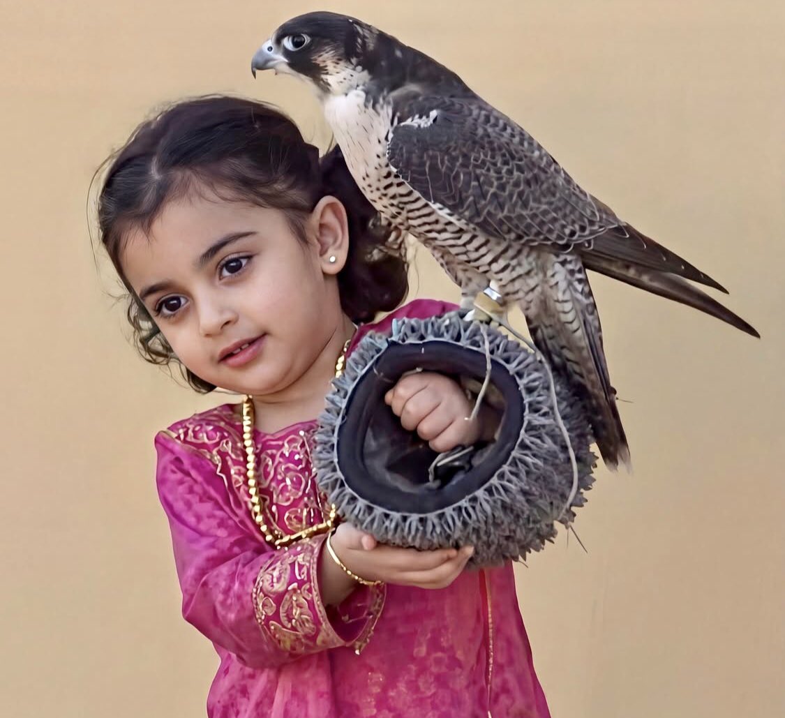 EmiratiEssence's tweet image. Afra Al Marar an Emirati child captured attention through her dignified presence at the Fazza Falconry Championship🇦🇪

stands among the cherished pursuits of UAE embodying an ancient heritage and representing the most renowned traditional championship under the patronage of Fazza