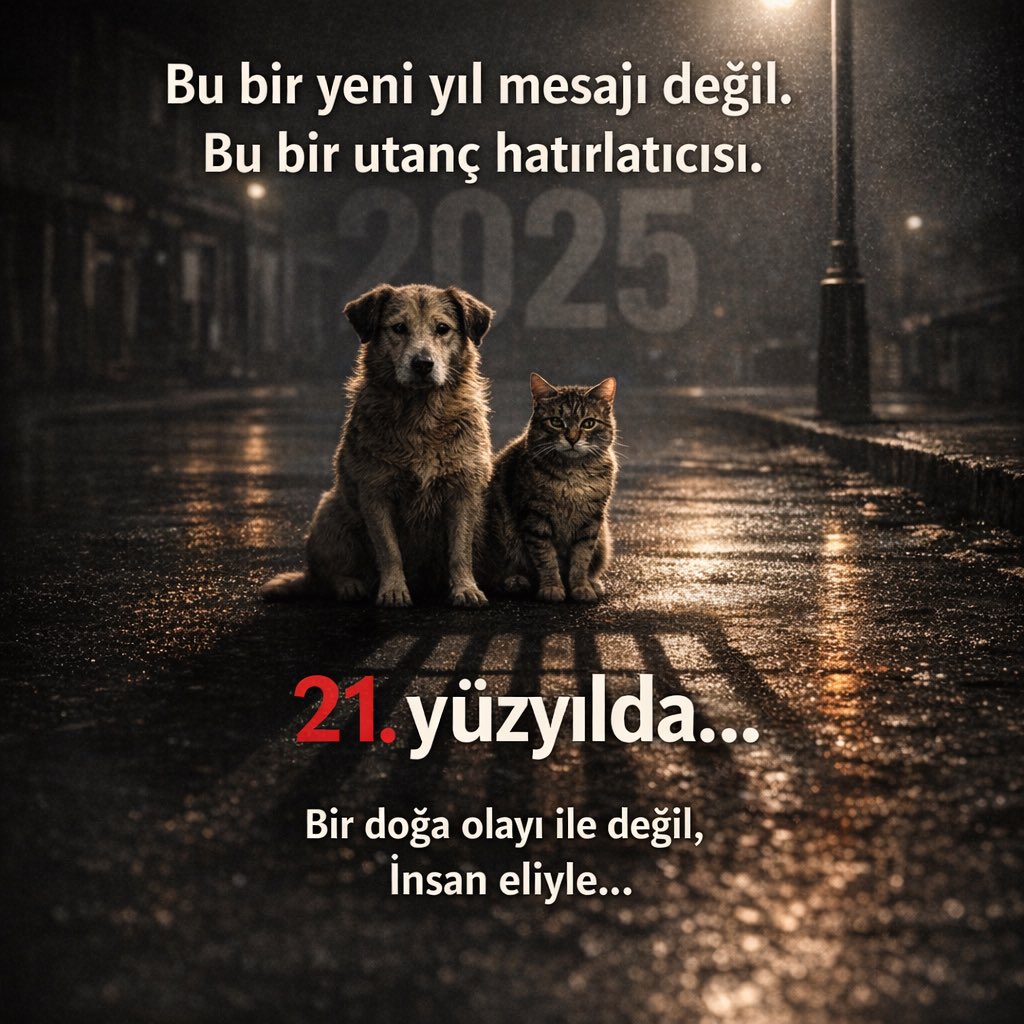 2025 bizim için zordu.
Ama onlar için,
katliama karşı direnme
ve hayatta kalma mücadelesiydi.

21. yüzyılda sokak hayvanlarına
uygulanan bu vahşet,
insanlığın yüz karasıdır.

2026:
Katliamın bittiği yıl olsun.