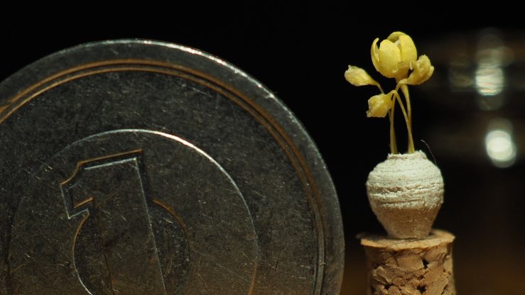 #2025年の作品と共に感謝を伝えよう

今年も色々作りました！

ちっさな革靴、つまようじ細工、ちっさなアクリルグラス、そして今年から始めたちっさなろくろ引きの花瓶。

作品を見ていただいた皆様、ありがとうございました！
来年もどうぞよろしくお願いします🙇‍♂️