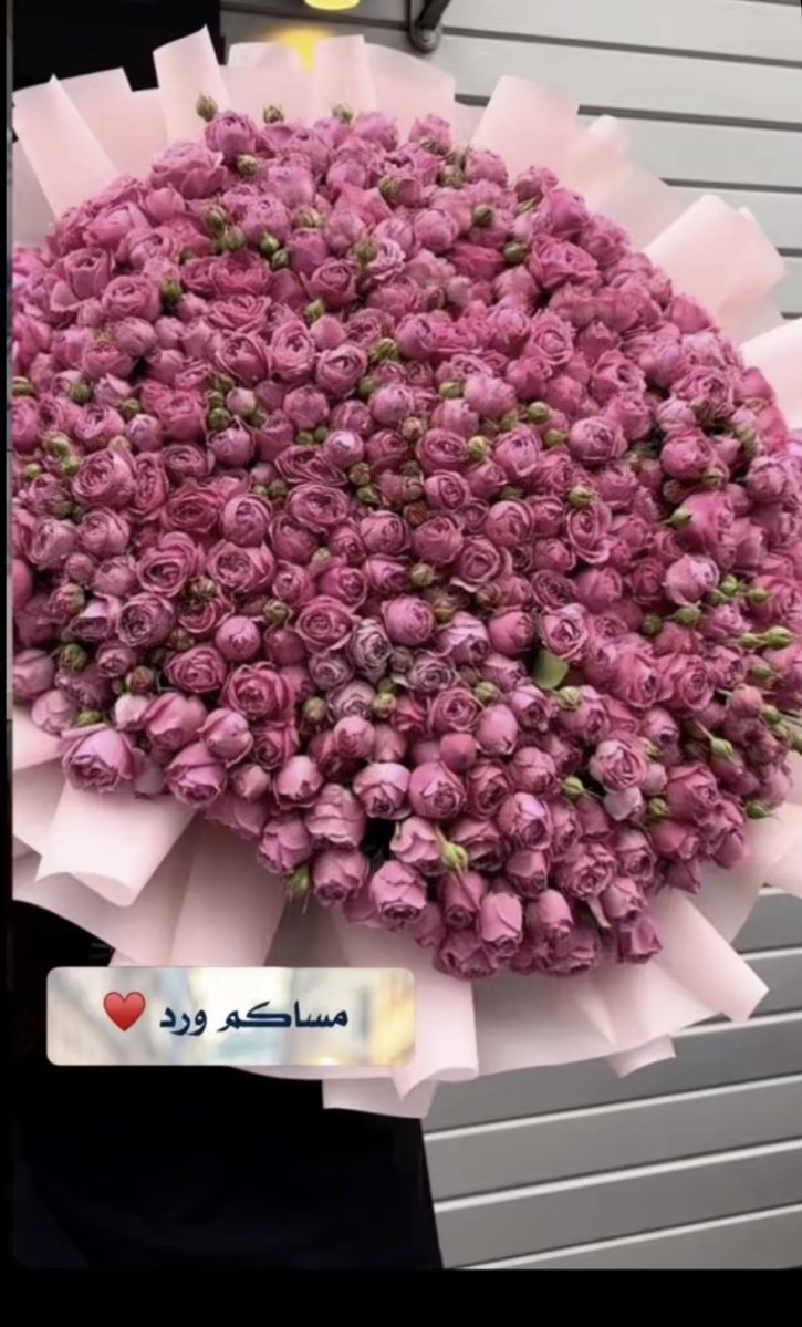 حصه بنت عبدالعزيز 🤍🕊️ (@am_aziiiz) on Twitter photo 